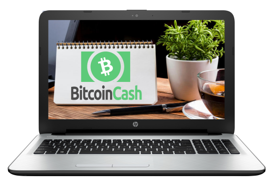 bitcoin-cash-bch